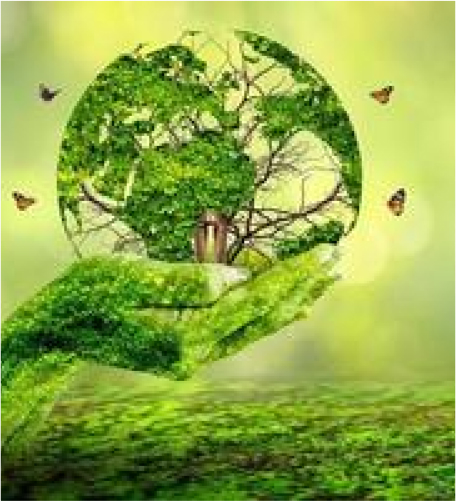 About Image